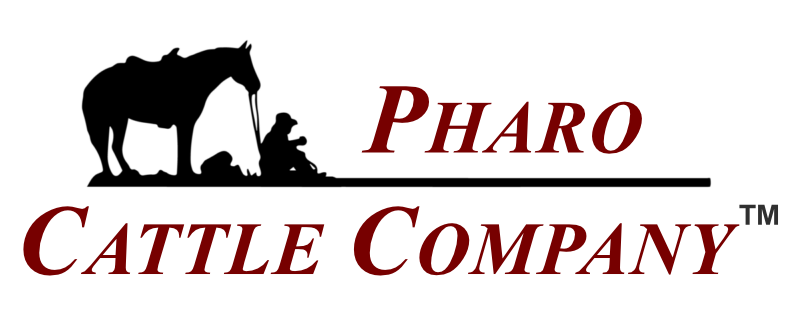 Pharo Cattle Company logo